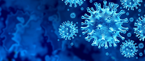 Coronavirus COVID-19 Webinar: The Basics